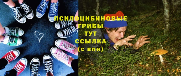 прущие крисы Абаза